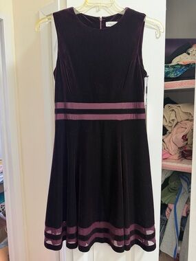 Calvin Klein Sleeveless Velvet Fit-and-Flare Dress in Plum and Deep Purple